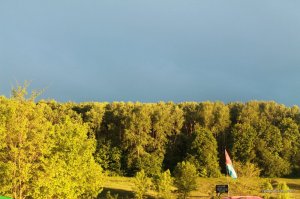 IMG_7456.JPG
