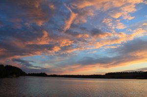 IMG_7480.JPG