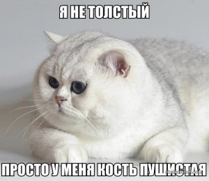 SH7hM8sZnzI.jpg