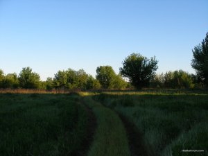 P1010012.JPG