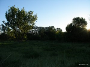 P1010013.JPG