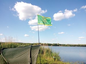 IMG_20170529_164719.jpg