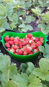 20170603_203444.jpg