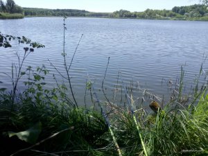 IMG_20170604_135922.jpg