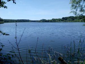 IMG_20170604_135914.jpg