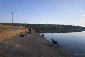 _MG_6976.jpg