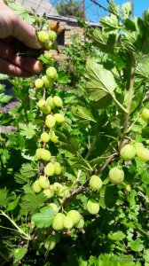 20170604_124429.jpg