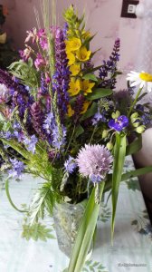 20170604_101923.jpg
