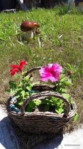 20170604_130111.jpg