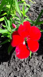 20170604_145008.jpg