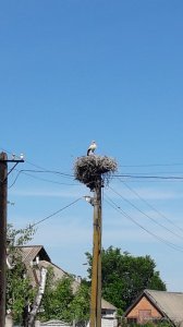 20170604_151936.jpg