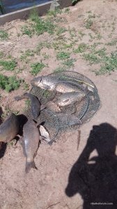 20170603_103514.jpg