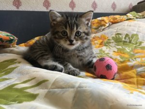 IMG_2846.JPG
