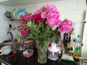 IMG_20170606_073055.jpg