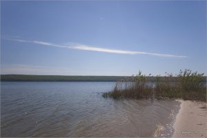 _MG_6235.jpg