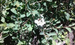20170604_121005.jpg