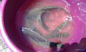 20170604_133557.jpg