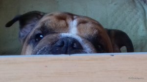20170216_140513.jpg