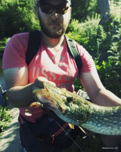 IMG_20170606_201015_426.jpg