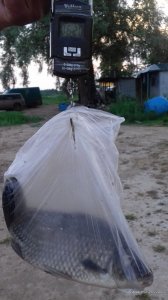 20170607_201345.jpg