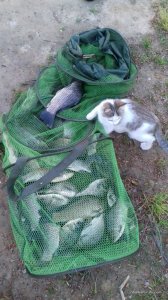 20170607_201430.jpg