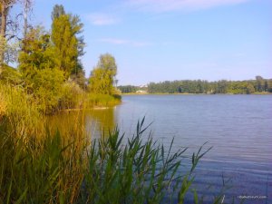 IMG_20170607_153944.jpg