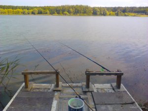 IMG_20170607_154019.jpg
