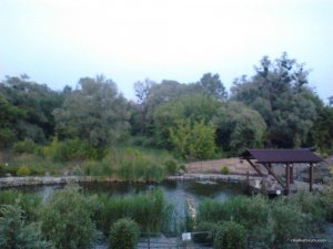 IMG_20170607_205726.jpg