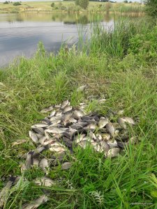 20170609_174055.jpg