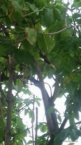 20170609_094348.jpg