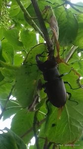 20170609_094356.jpg