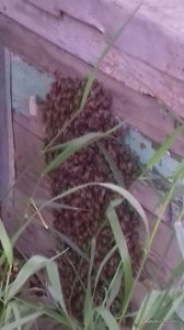 20170609_102850.jpg
