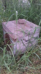 20170609_102913.jpg