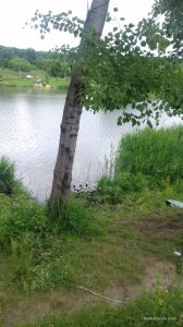 20170610_111054.jpg