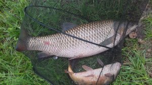 20170610_111328.jpg