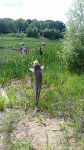 20170610_115838.jpg