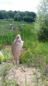 20170610_115845.jpg