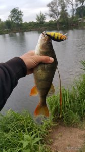 20170610_192446.jpg