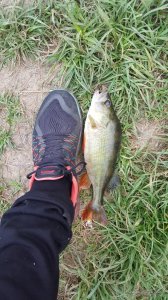 20170610_192636.jpg