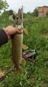 20170610_193857.jpg