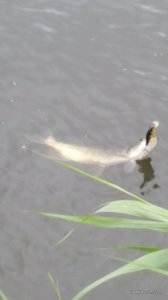 20170610_181511.jpg