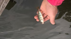 WP_20170610_07_42_30_Pro.jpg