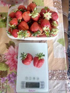 IMG_20170611_170342.jpg
