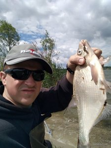 IMG_20170611_131537.jpg