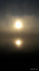 20170612_053316.jpg
