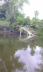 IMG_20170611_120613.jpg