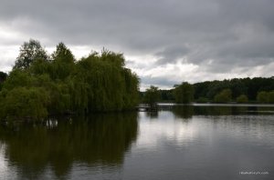 DSC_8087.JPG