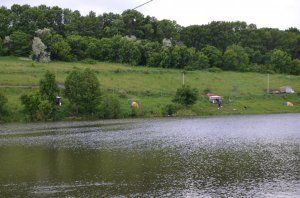 DSC_8091.JPG