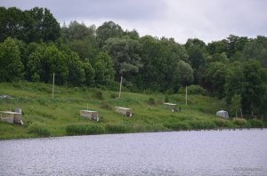 DSC_8093.JPG