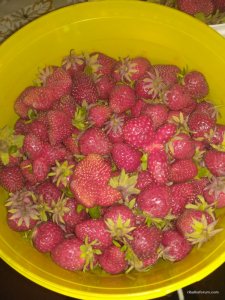 IMG_20170612_214633.jpg
